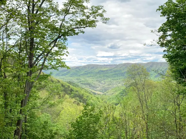 Lot 125 Withrow Landing, Caldwell,  24925