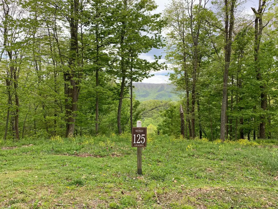 Lot 125 Withrow Landing, Caldwell, WV 24925 - #2