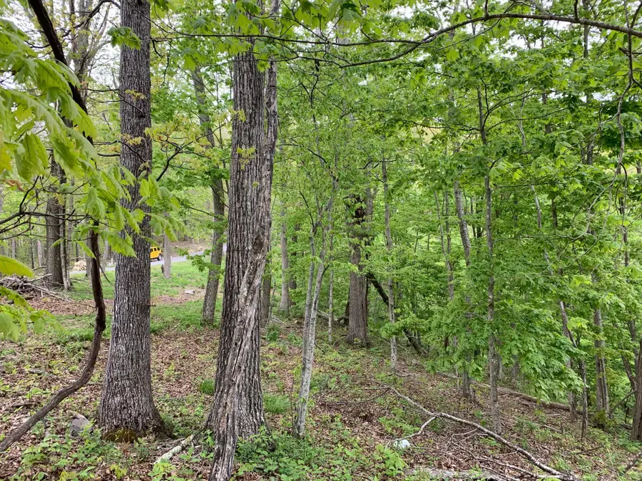 Lot 125 Withrow Landing, Caldwell, WV 24925 - #3
