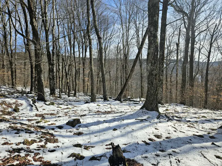 Lot 71 North Woods Circle, Snowshoe, WV 26209 - Image #2