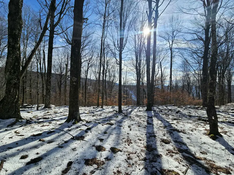 Lot 71 North Woods Circle, Snowshoe, WV 26209 - Image #3