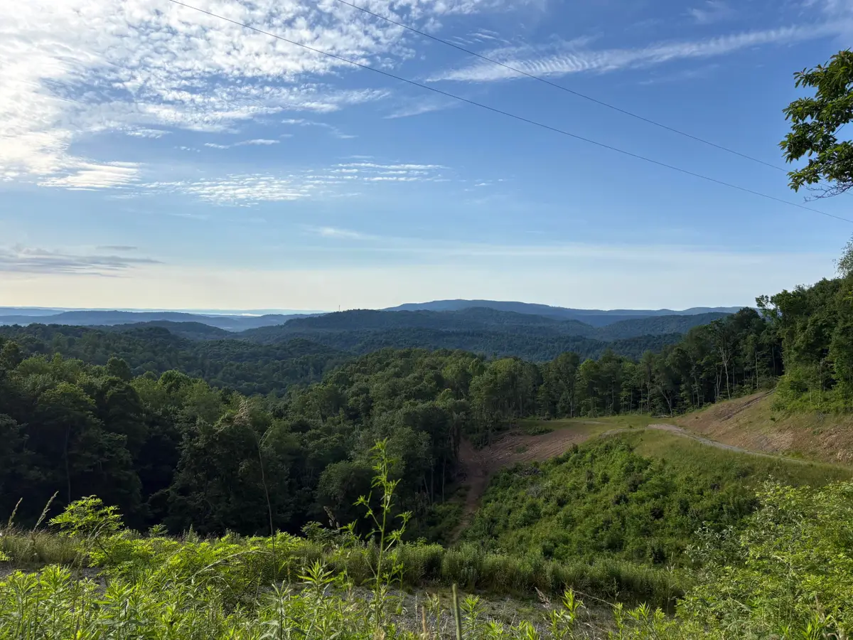 Irish Mt. Road, Spring Dale, WV 25986 - #1