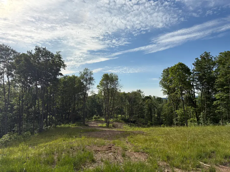 Irish Mt. Road, Spring Dale, WV 25986 - #2