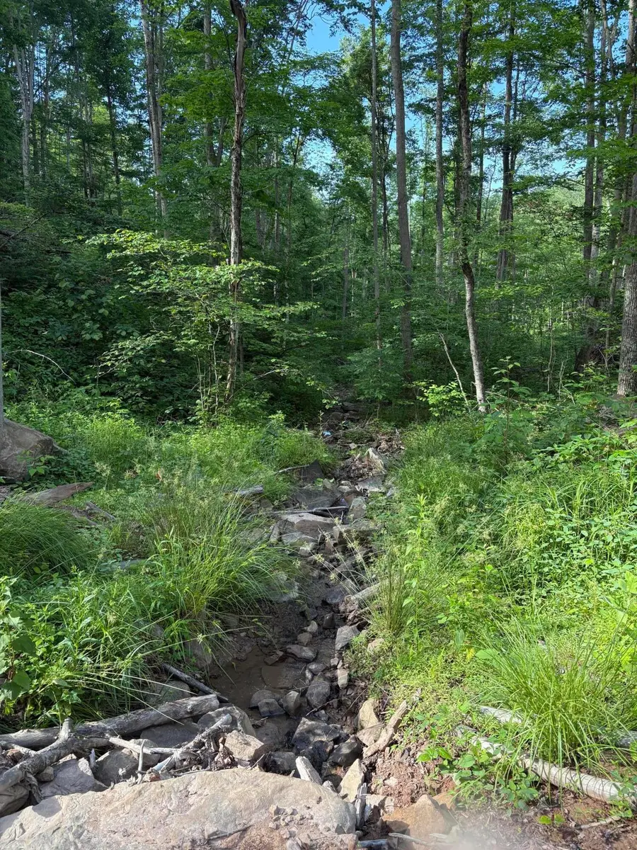 Irish Mt. Road, Spring Dale, WV 25986 - #3