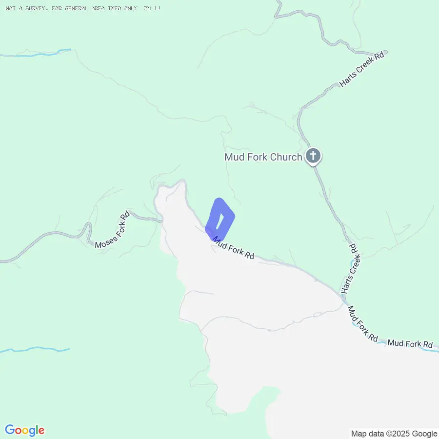 7454 Mud Fork Rd, Verdunville, WV 25649 - #2