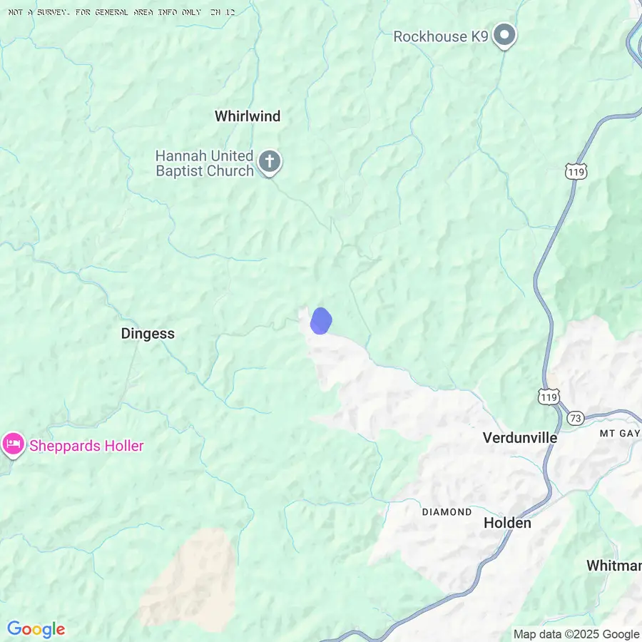 7454 Mud Fork Rd, Verdunville, WV 25649 - #3