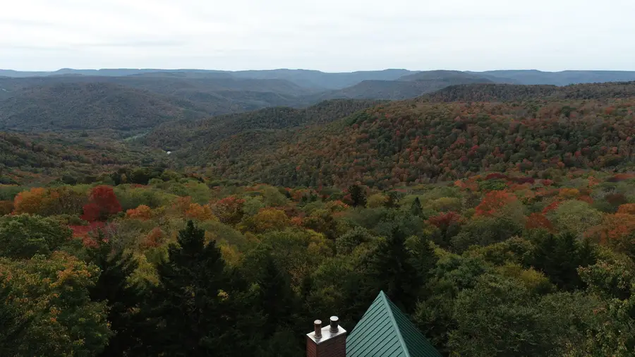 392 North Westridge Road, Snowshoe, WV 26209 - #3