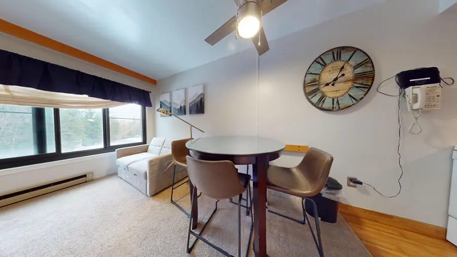 #1117 Silver Creek Road, Snowshoe, WV 26209 - Image #2