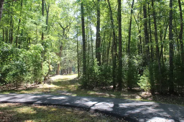 Lot 14 & 15 Roses Way, Lewisburg, WV 24901