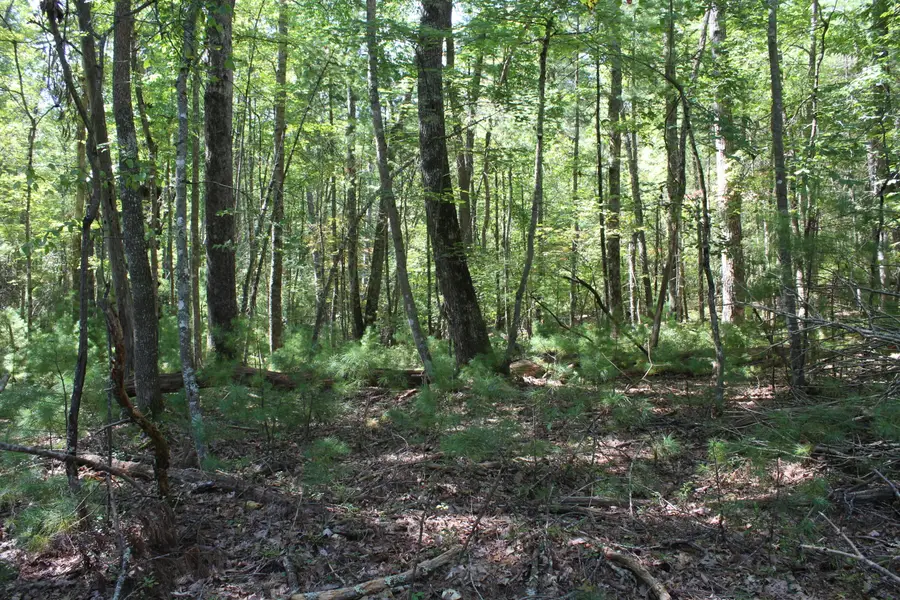 Lot 14 & 15 Roses Way, Lewisburg, WV 24901 - Image #2