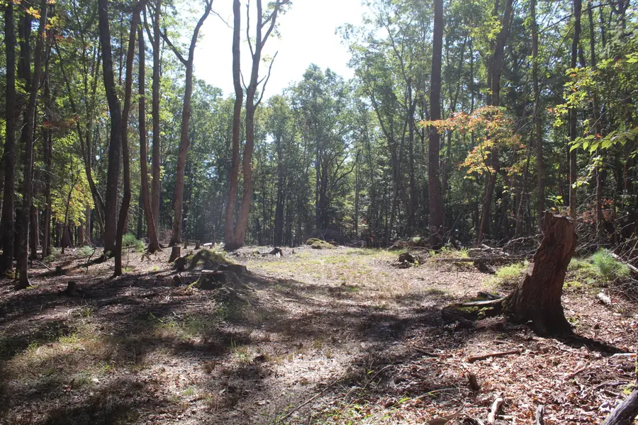 Lot 14 & 15 Roses Way, Lewisburg, WV 24901 - Image #3