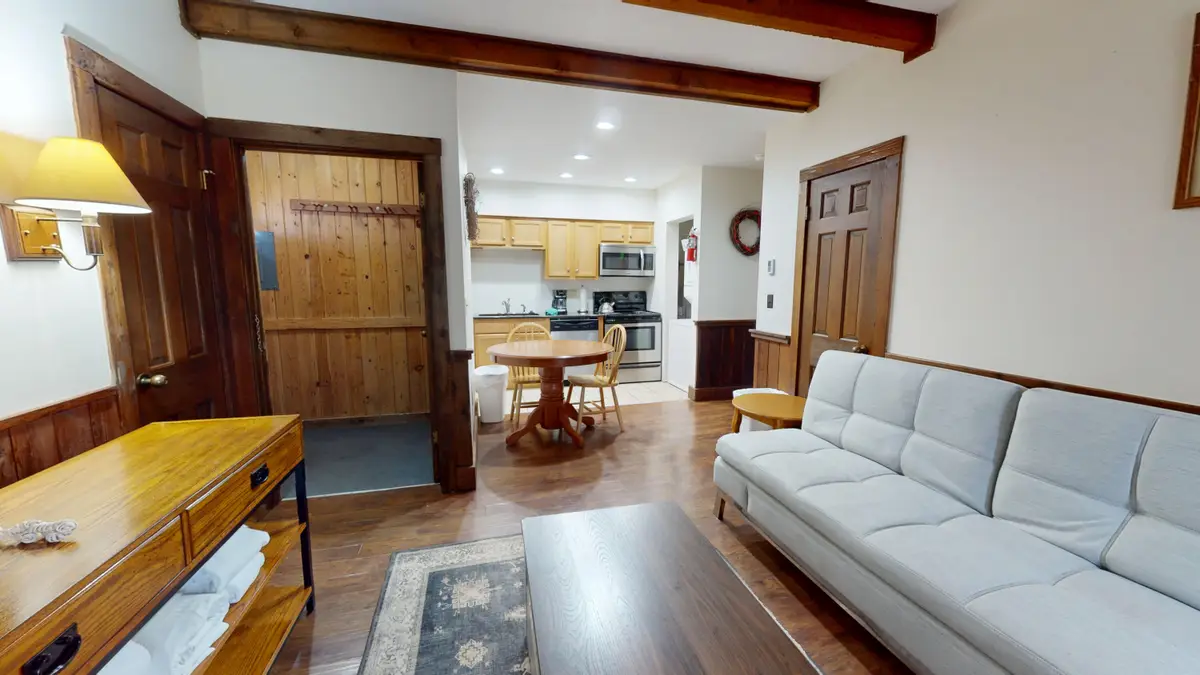 42 Whistlepunk Ln, Snowshoe, WV 26209 - #1