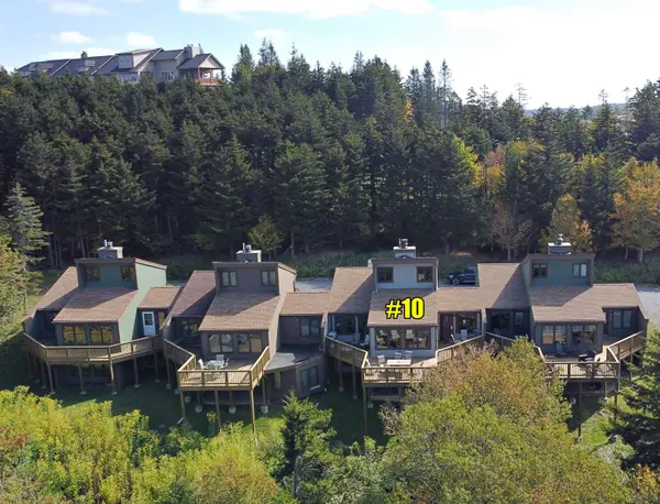 10 Lands End, Snowshoe, WV 26209