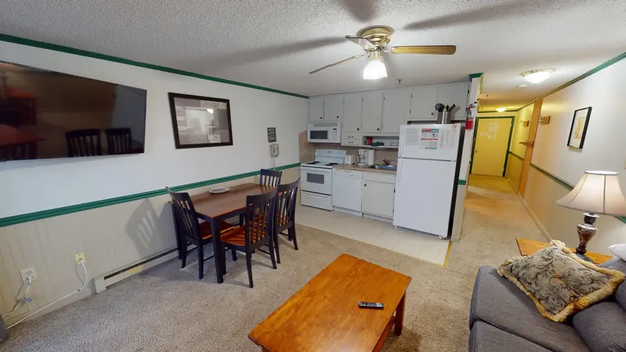 240 Mountain Ldg Ln, Snowshoe, WV 26209 - #3