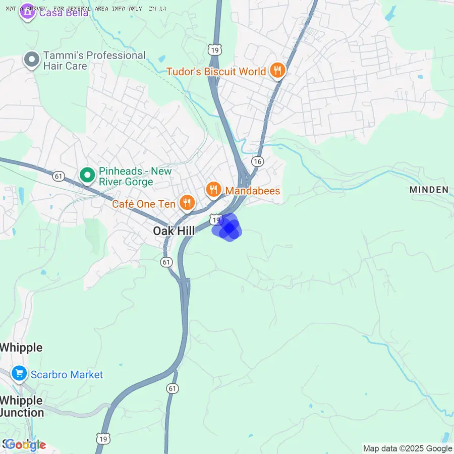 211 Tia Ln, Oak Hill, WV 25901 - Image #3