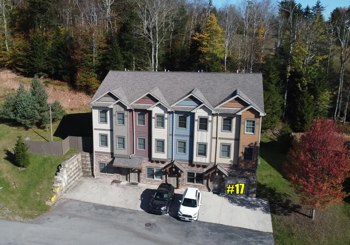 17 Creekside Villa, Snowshoe, WV 26209 - Image #1