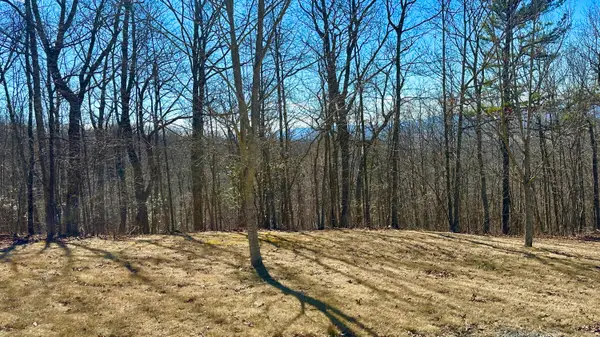 Lot 91 White Rock Trail, Caldwell, WV 24925
