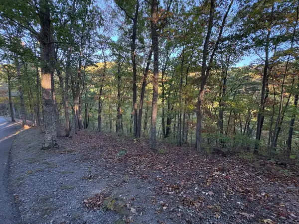 Lot 41 Wildwood Ridge, Caldwell, WV 24925