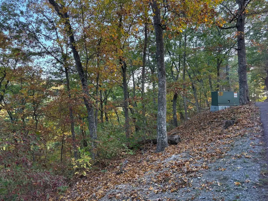 Lot 41 Wildwood Ridge, Caldwell, WV 24925 - Image #2