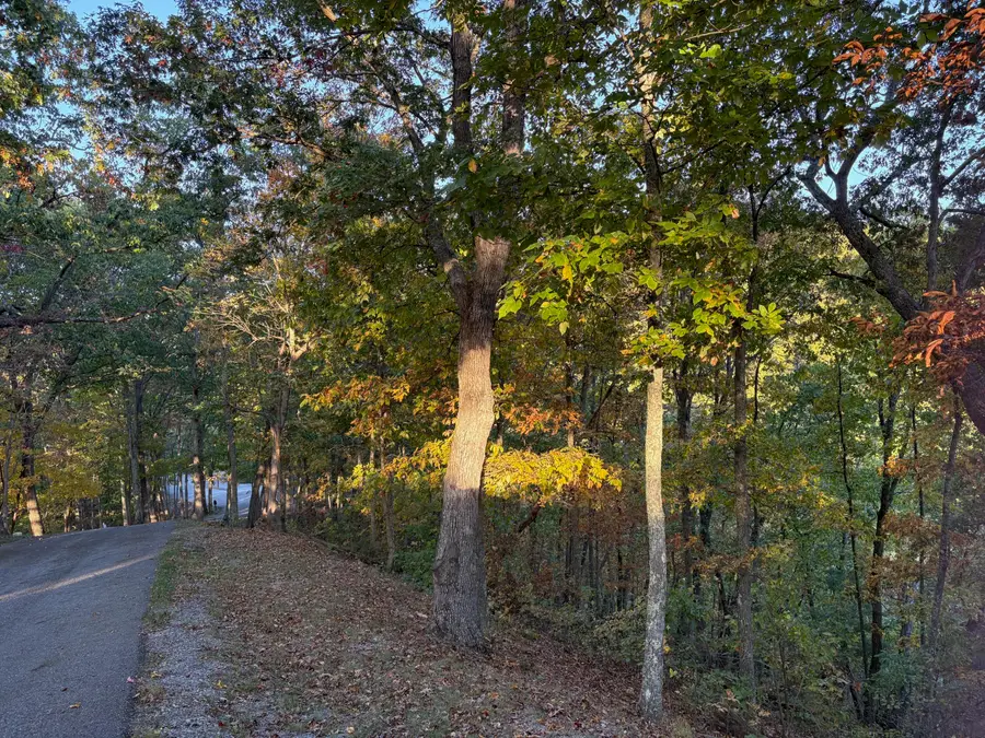 Lot 41 Wildwood Ridge, Caldwell, WV 24925 - Image #3