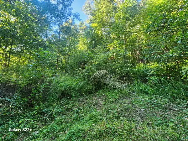 2 Ac 2 Ac Off Midland Trl W Rupert,, Rupert, WV 25984