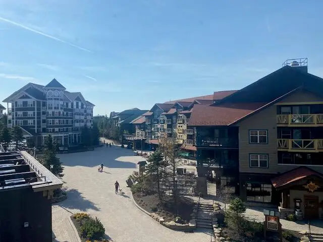 #306 Highland House, Snowshoe, WV 26209 - #2