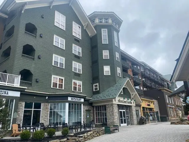 #306 Highland House, Snowshoe, WV 26209 - #3