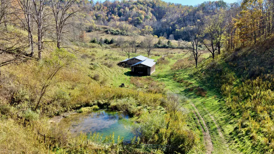 886 Trout Run Rd, Asbury, WV 24916 - #3