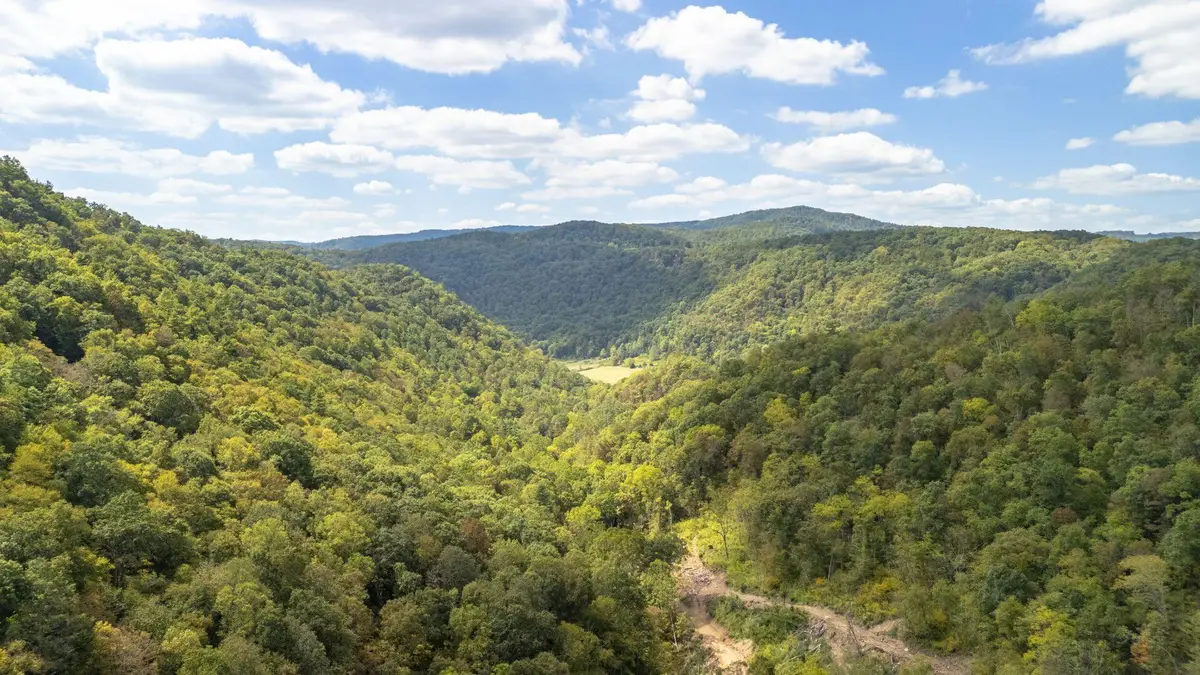 Ellison Ridge Rd, Jumping Branch, WV 25969 - Image #1