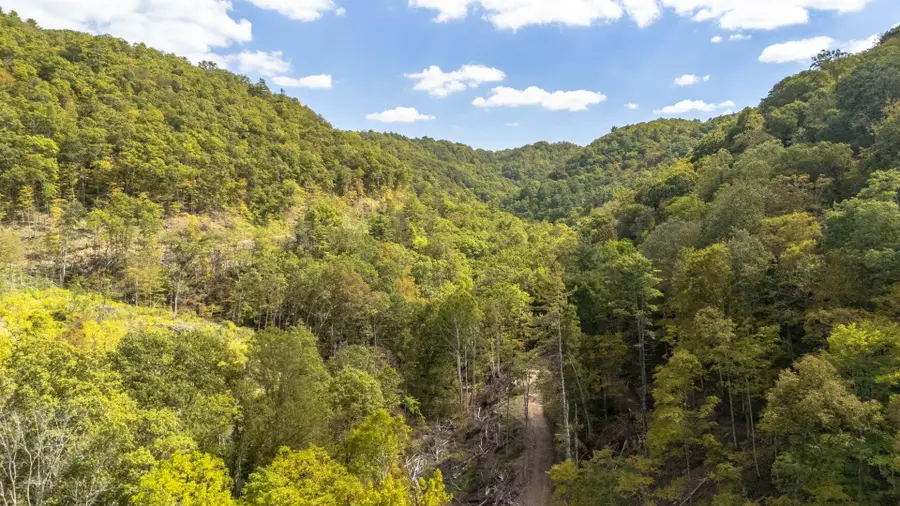 Ellison Ridge Rd, Jumping Branch, WV 25969 - Image #3