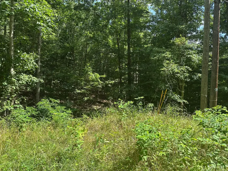 Lot 1 Rt. 1 Muddy Creek Mountain, Eastern, WV 24910 - #2