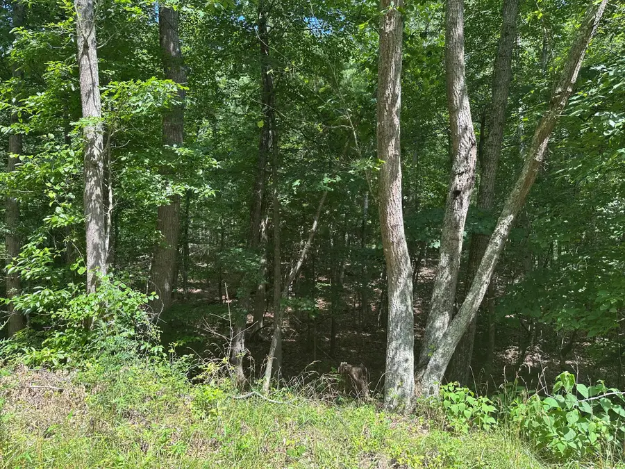 Lot 1 Rt. 1 Muddy Creek Mountain, Eastern, WV 24910 - #3