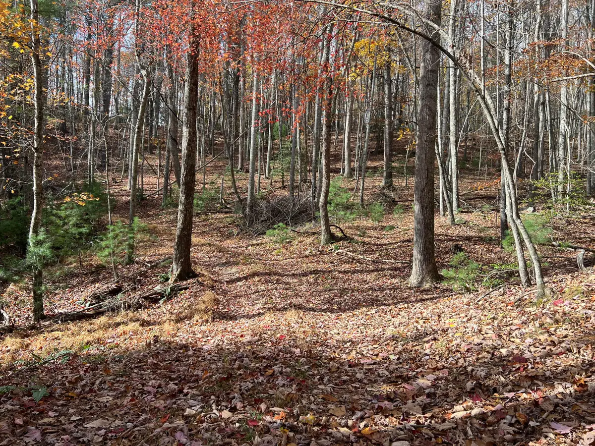 Hollywood Glace Road, Union, WV 24983 - #1