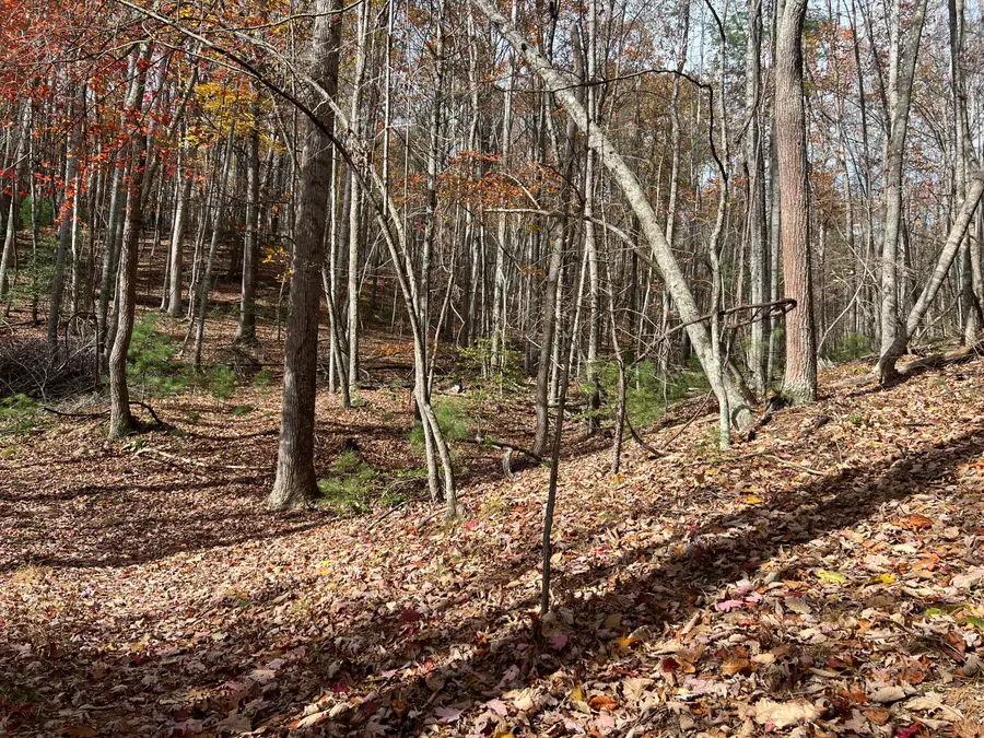 Hollywood Glace Road, Union, WV 24983 - #2
