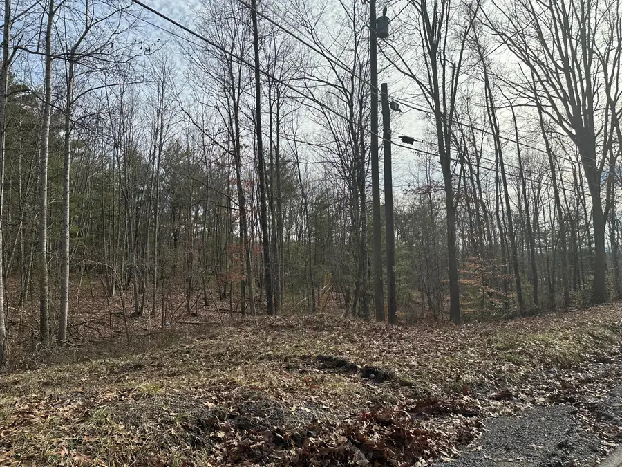 Lot 2 Rt. 1 Muddy Creek Mountain, Sinks Grove, WV 24910 - #2