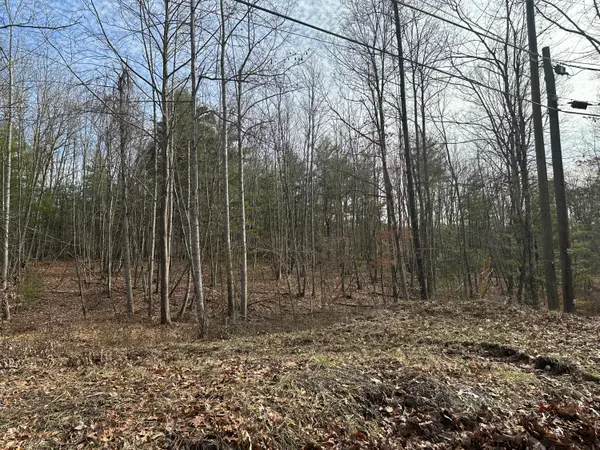 Lot 1 & 2 Rt. 1, Muddy Creek Mountain, Alderson,  24910