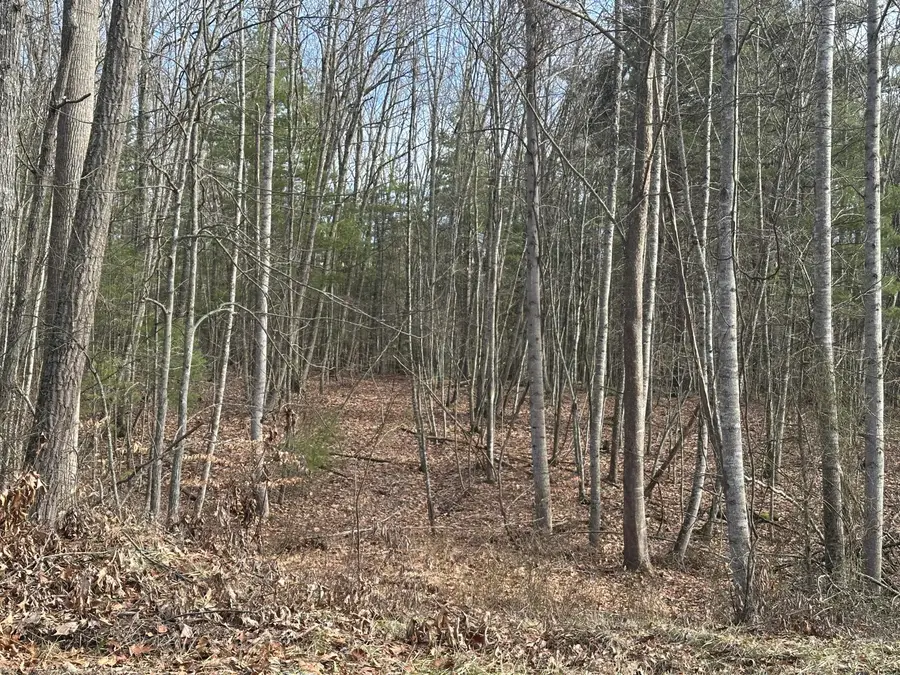 Lot 1 & 2 Rt. 1, Muddy Creek Mountain, Alderson, WV 24910 - #3