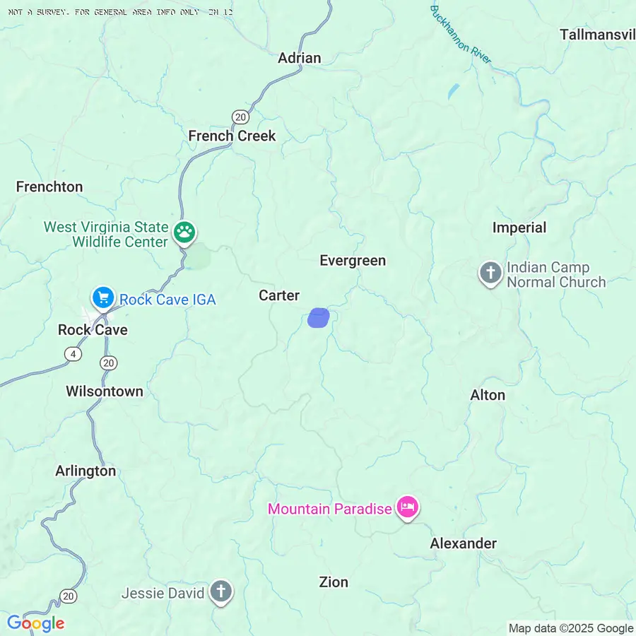 74 Harvey Golden Rd, French Creek, WV 26218 - #3