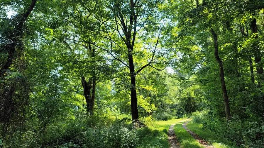 Co Rte 19/80, Gauley Bridge, WV 25085 - Image #3