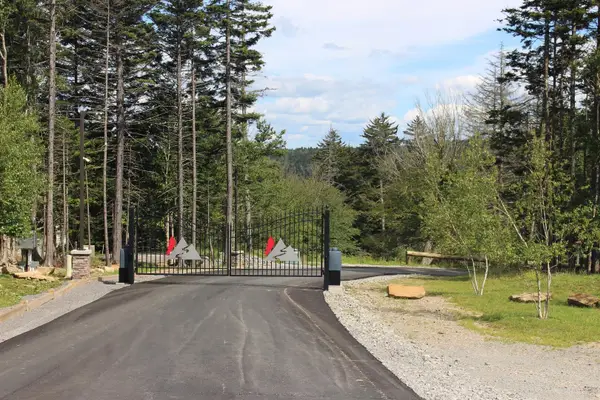 246 Red Spruce Dr., Snowshoe, WV 26209