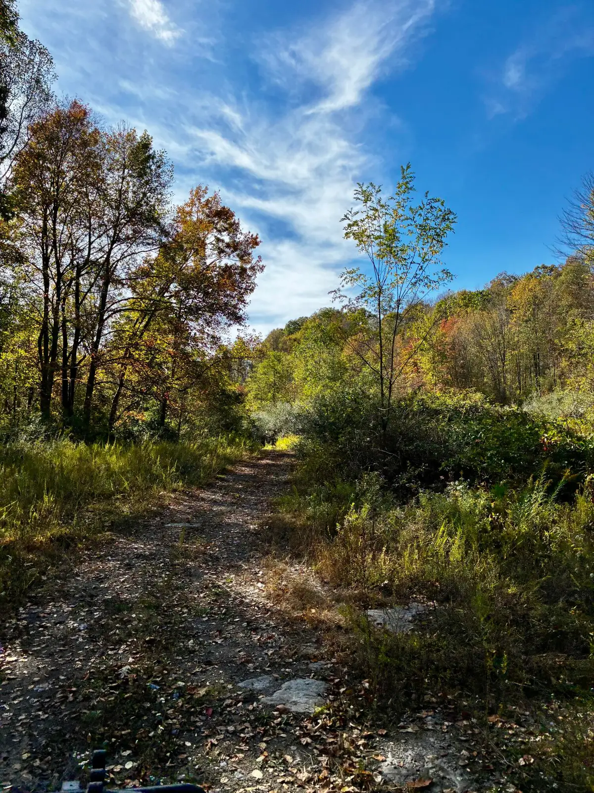 Rt. 19 Hominy Creek, Mount Nebo, WV 26651 - Image #1
