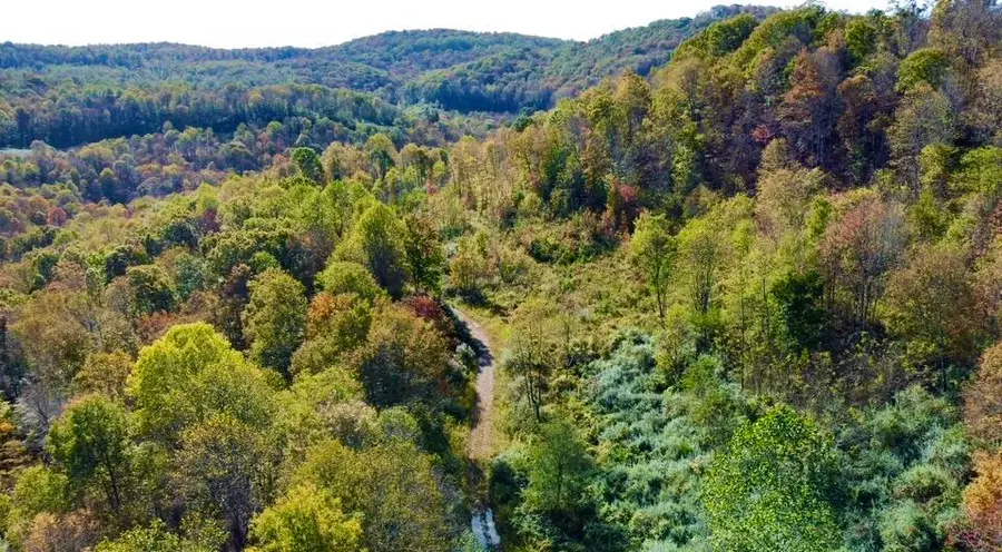 Rt. 19 Hominy Creek, Mount Nebo, WV 26651 - Image #2