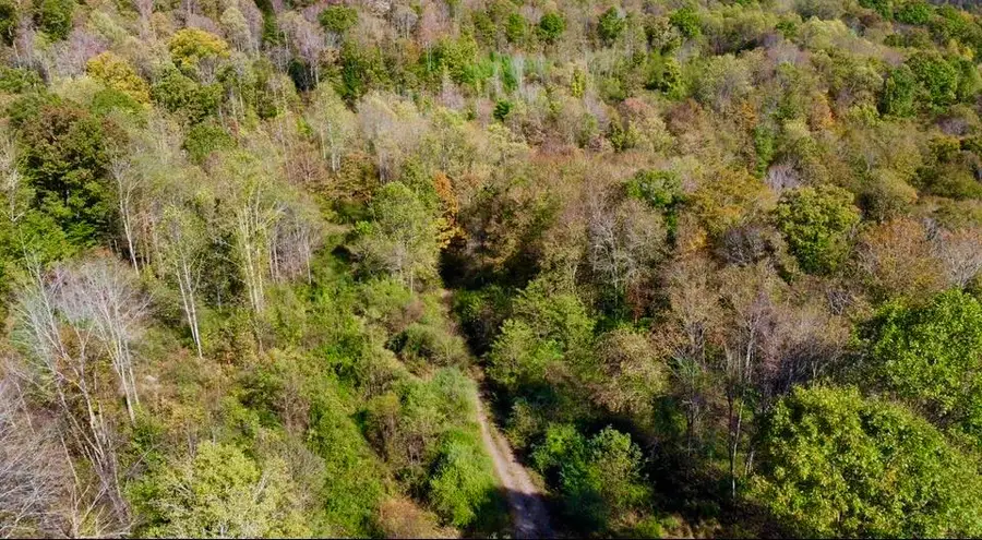 Rt. 19 Hominy Creek, Mount Nebo, WV 26651 - Image #3