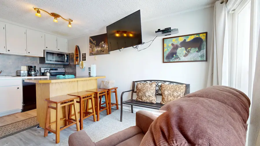 330 Mountain Lodge, Snowshoe, WV 26209 - Image #2