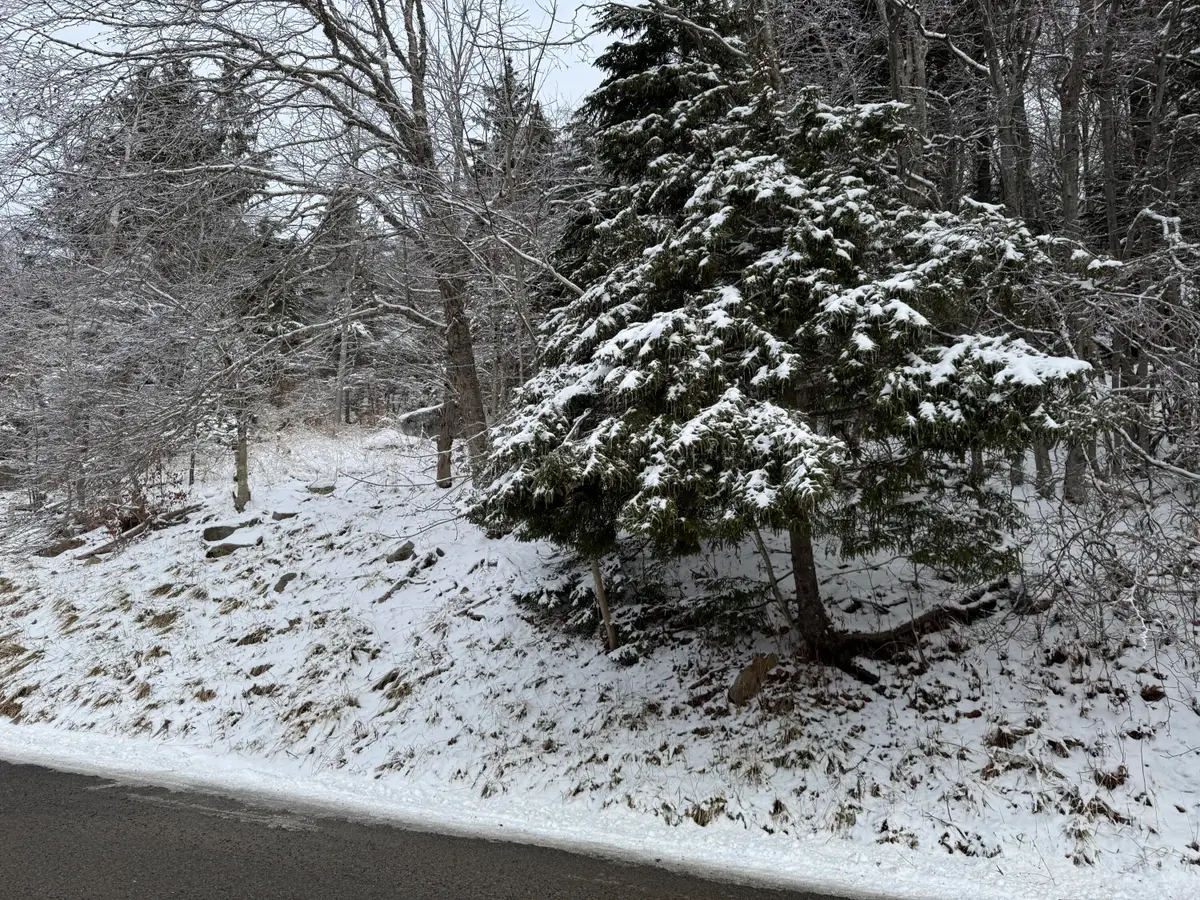 361 North West Ridge Rd, Snowshoe, WV 26209 - Image #1