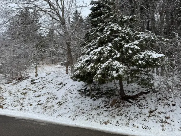 361 North West Ridge Rd, Snowshoe, WV 26209