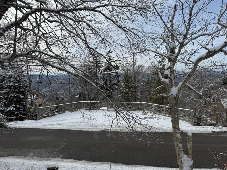 361 North West Ridge Rd, Snowshoe, WV 26209 - Image #3