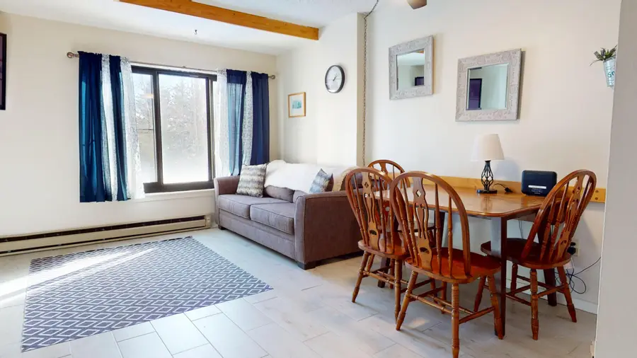 #1107 Silver Creek, Snowshoe, WV 26209 - Image #3