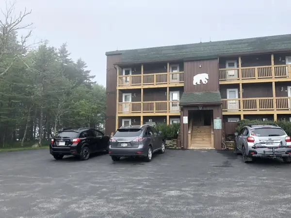 52 Mountain Crest Dr, Snowshoe, WV 26209