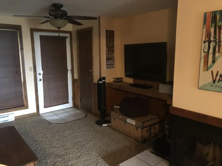 52 Mountain Crest Dr, Snowshoe, WV 26209 - Image #3